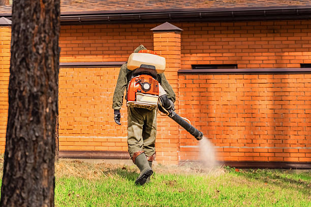Trusted Cockroach Control service in Bayshore Gardens, FL - Nex Pest Control